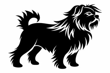 affenpinscher line art silhouette vector illustration
