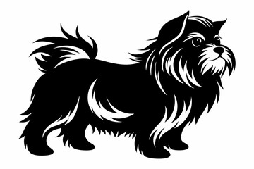 affenpinscher line art silhouette vector illustration