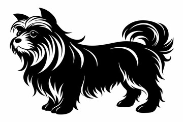 affenpinscher line art silhouette vector illustration