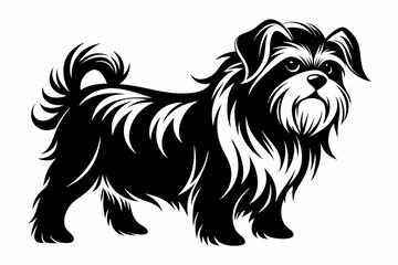 affenpinscher line art silhouette vector illustration
