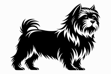 affenpinscher line art silhouette vector illustration