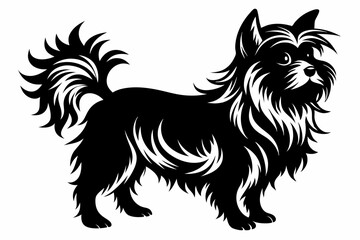affenpinscher line art silhouette vector illustration