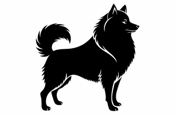american eskimo dog line art silhouette vector illustration