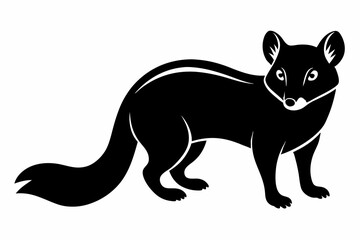 coati line art silhouette vector illustration