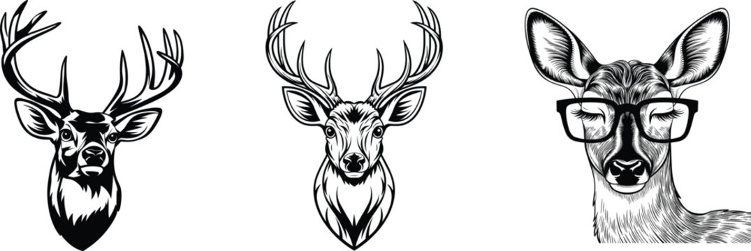 Sets of vintage deer head vector with big horns | Horned elk vector | Deer face with big antler on white background.