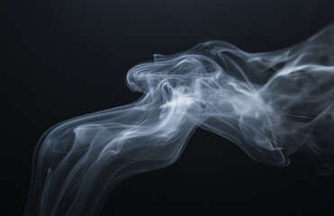 A wisp of white smoke swirls against a dark background, forming the shape of an animal. The delicate, translucent wisps dance gracefully on their own, creating a captivating image against a pure black