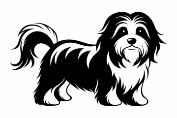 havanese line art silhouette vector illustration