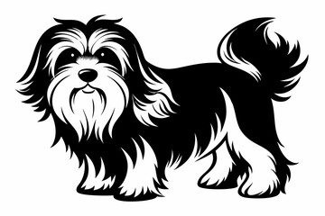 havanese line art silhouette vector illustration