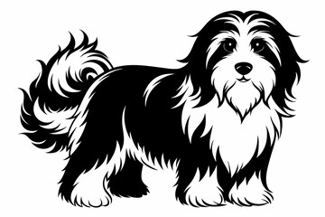 havanese line art silhouette vector illustration