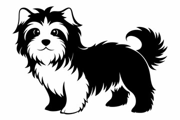 havanese line art silhouette vector illustration