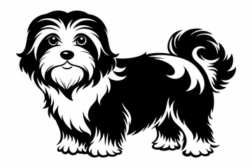 havanese line art silhouette vector illustration