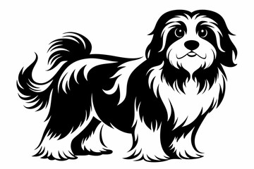 havanese line art silhouette vector illustration