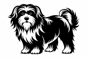 havanese line art silhouette vector illustration