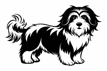 havanese line art silhouette vector illustration