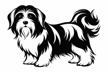 havanese line art silhouette vector illustration