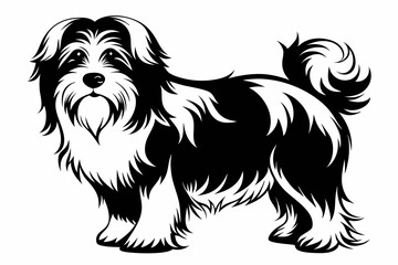 havanese line art silhouette vector illustration