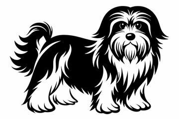 havanese line art silhouette vector illustration