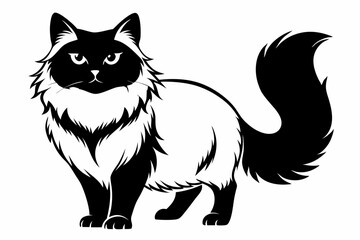 himalayan cat line art silhouette vector illustration