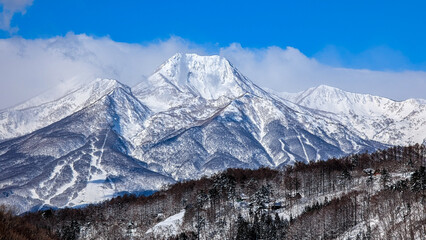 Panorama snow covered forest and jagged mountains with blue sky