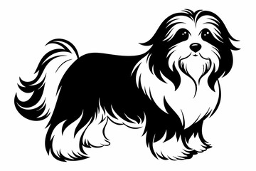 maltese dog line art silhouette vector illustration