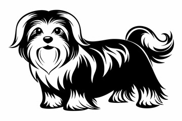 maltese dog line art silhouette vector illustration