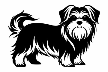 maltese dog line art silhouette vector illustration