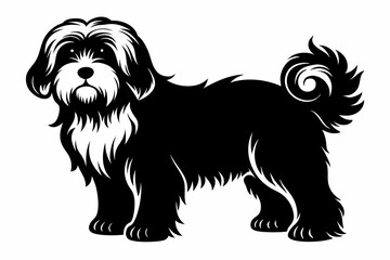 maltese dog line art silhouette vector illustration