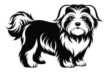 maltese dog line art silhouette vector illustration