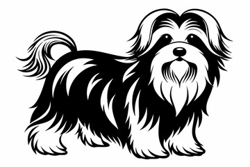 maltese dog line art silhouette vector illustration