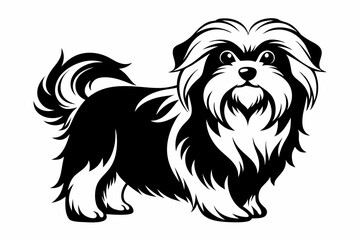 maltese dog line art silhouette vector illustration