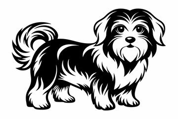 maltese dog line art silhouette vector illustration