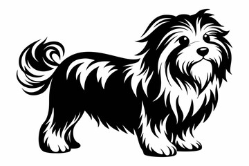 maltese dog line art silhouette vector illustration