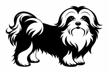 maltese dog line art silhouette vector illustration