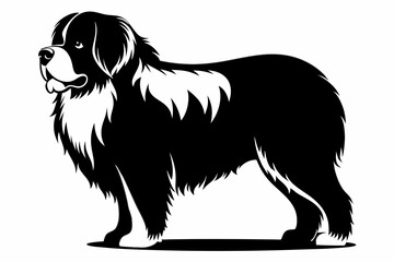 newfoundland dog line art silhouette vector illustration