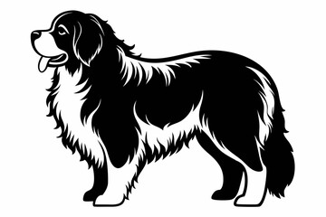 newfoundland dog line art silhouette vector illustration
