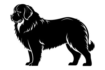 newfoundland dog line art silhouette vector illustration