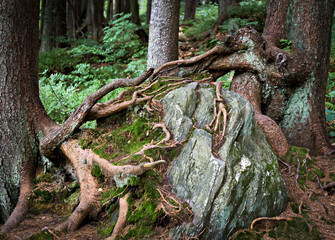 Nature is like life, always changing