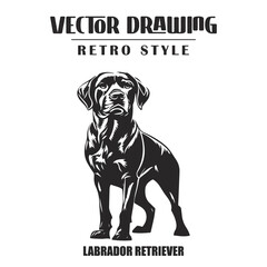 Black and White Labrador Retriever Dog Vector Illustration Isolated