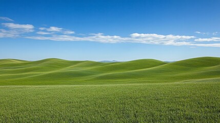 Fototapeta premium Rolling Green Fields Under a Clear Sky