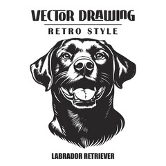 Black and White Labrador Retriever Dog Vector Illustration Isolated