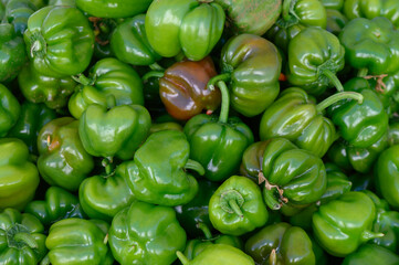 Fresh green bell peppers piled high at a local market in the heart of summer