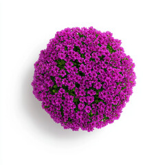 A striking purple flower captured in realistic detail against a clean white background providing ample copy space for text to enhance its unique features