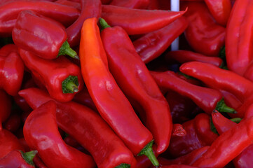 Vibrant collection of red chili peppers arranged beautifully at a local market stall