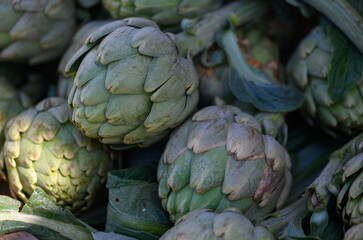 Freshly harvested artichokes glowing under the warm sunlight on a vibrant market stall