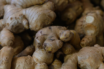 Fototapeta premium Fresh ginger roots piled together at a local market showcasing nature's flavor and health benefits
