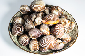 Scapharca subcrenata refers to the same ark clam as Anadara kagoshimensis. It can be found in shallow water in temperate parts of the west Pacific Ocean and is cultivated in China, Japan, and Korea 