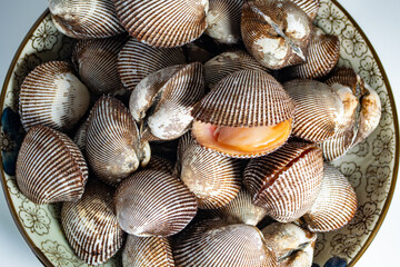 Scapharca subcrenata refers to the same ark clam as Anadara kagoshimensis. It can be found in shallow water in temperate parts of the west Pacific Ocean and is cultivated in China, Japan, and Korea 