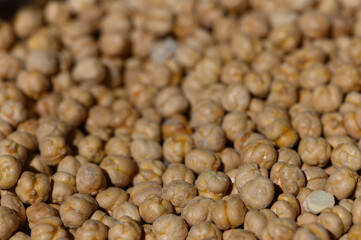 Dried chickpeas laid out to dry under the warm sun in a rural farm setting