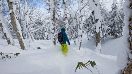 Action follow shot of a snowboarding tourist exploring the idyllic wintry backcountry of Hokkaido....