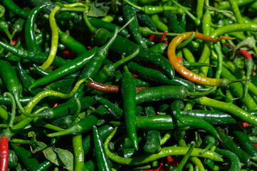Vibrant array of fresh green and red chili peppers at a bustling market in mid-afternoon sunlight